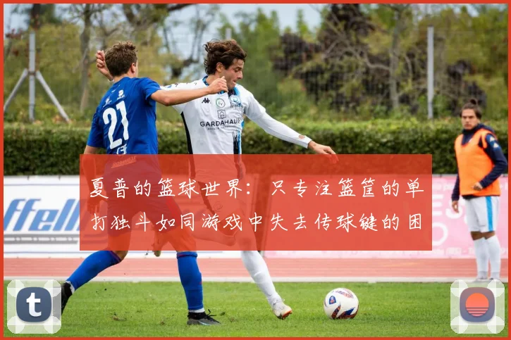 夏普的篮球世界：只专注篮筐的单打独斗如同游戏中失去传球键的困境