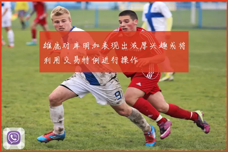 雄鹿对库明加表现出浓厚兴趣或将利用交易特例进行操作