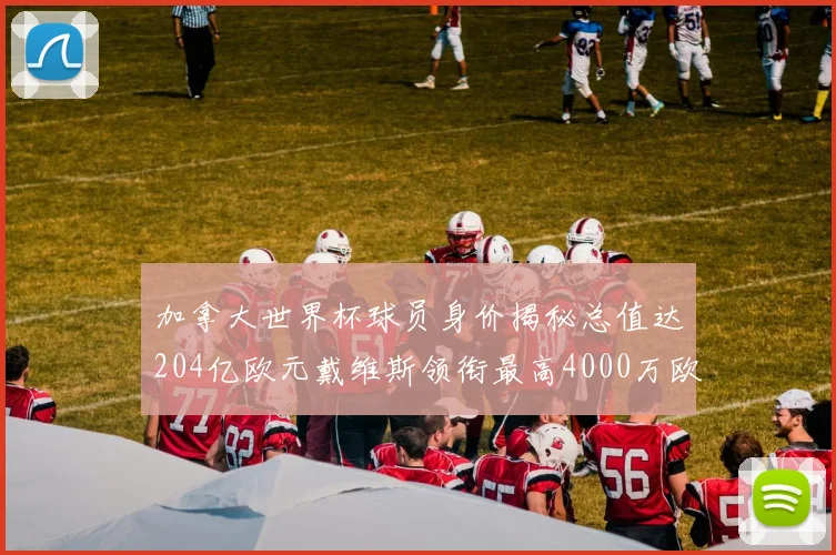 加拿大世界杯球员身价揭秘总值达204亿欧元戴维斯领衔最高4000万欧